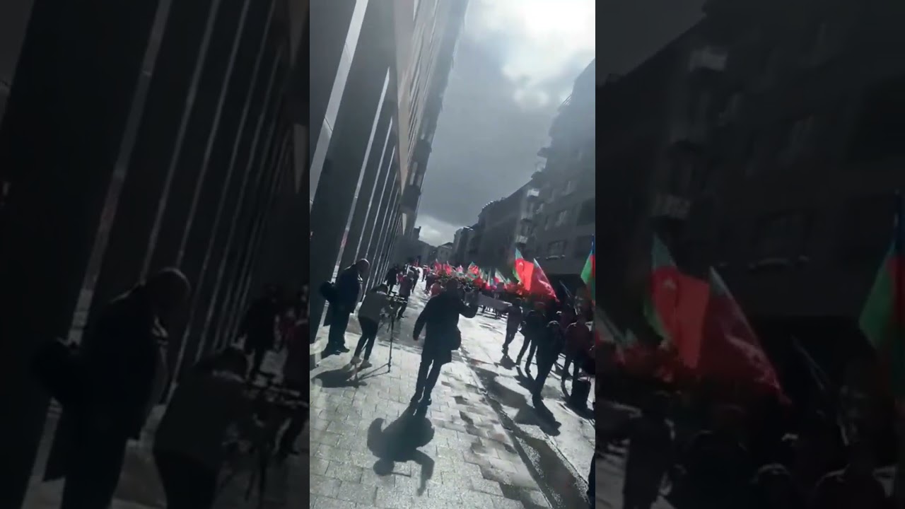 Güney azərbaycanlılar Brüsseldə aksiya keçirir - BAKU TV