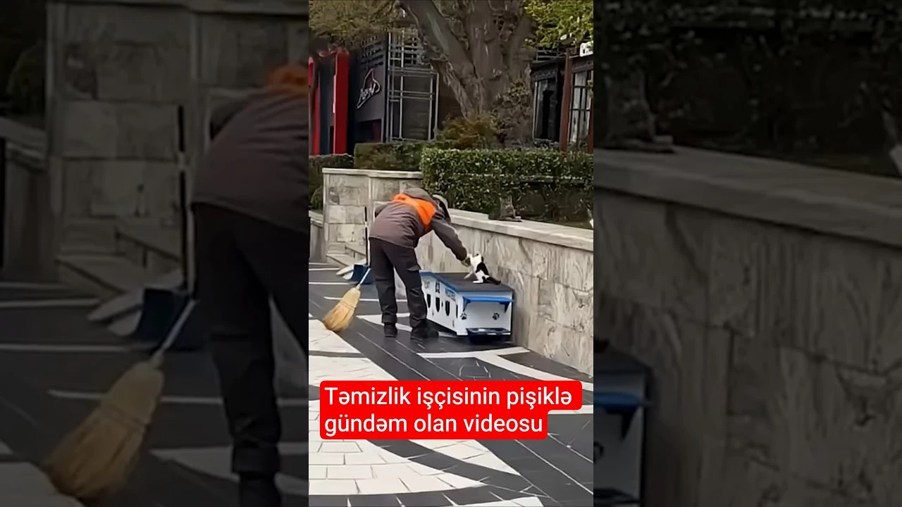 "Tarqovı"da təmizlik işçisinin pişiklə görüntüsü mediada viral oldu - Baku TV