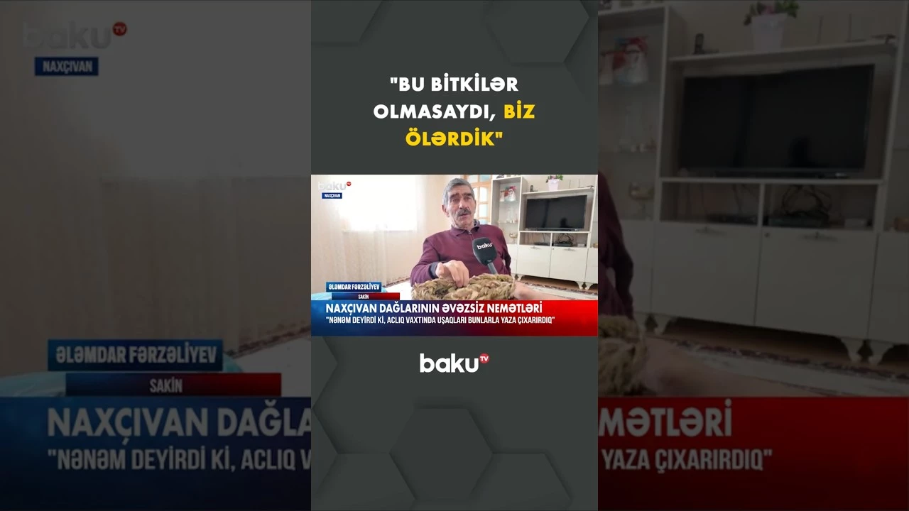 İnsan sağlamlığının dərmanı olan bitkilər | Naxçıvan dağlarının əvəzsiz nemətləri - Baku TV