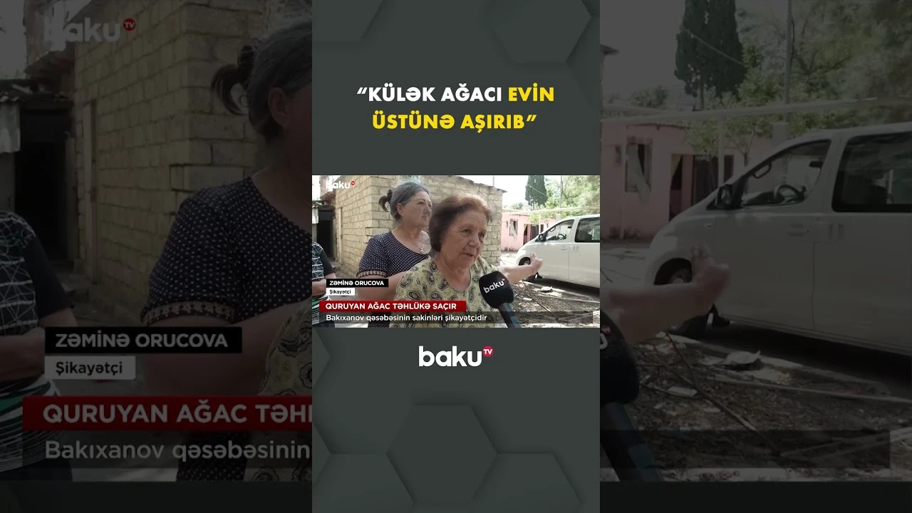 Quruyan ağac məhəllədə ciddi təhlükəyə çevrilib - Baku TV