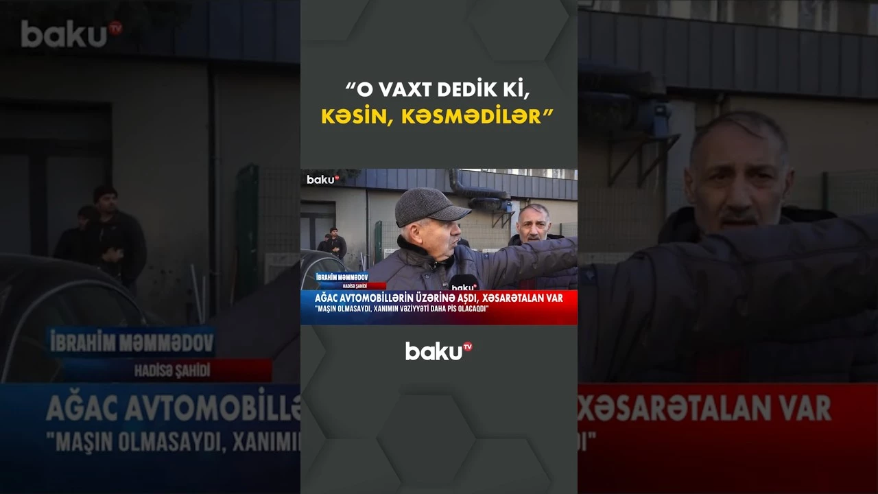 Bakıda irigövdəli ağac maşının üzərinə aşdı | Xəsarətalan var - Baku TV