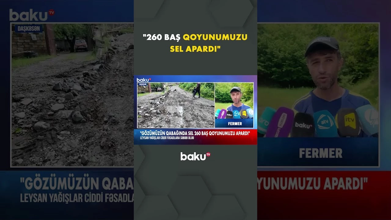 Daşkəsəndə yağan yağış fermerlərə ciddi ziyan vurdu - Baku TV