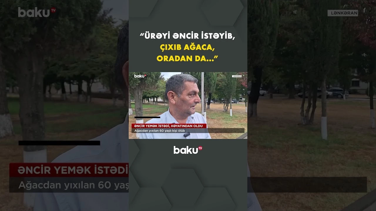 Əncir dərmək istəyən 60 yaşlı kişi həyatından oldu - Baku TV