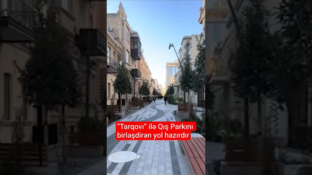 “Tarqovı” ilə Qış Parkını birləşdirən yol hazırdır - Baku TV