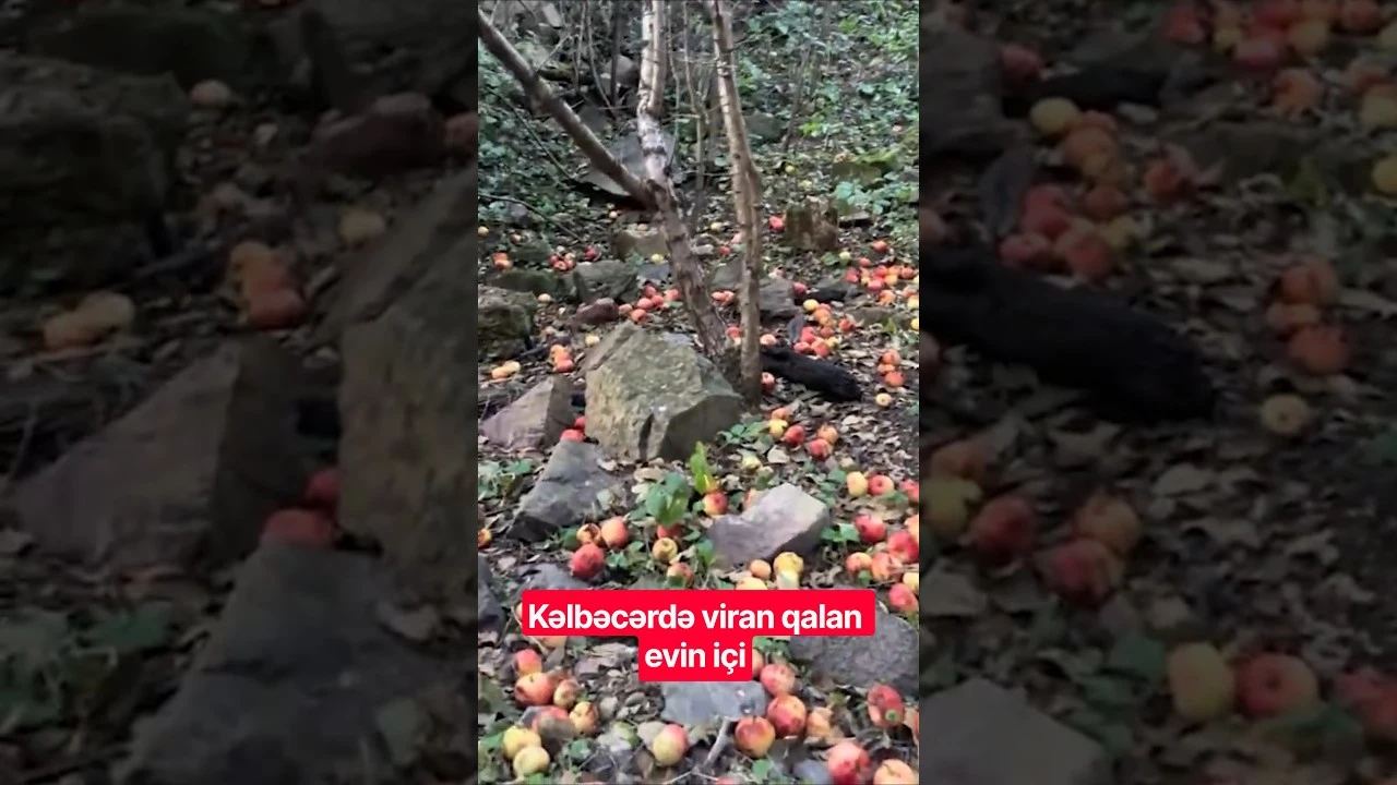 Kəlbəcərdə viran qalan evin içi - Baku TV