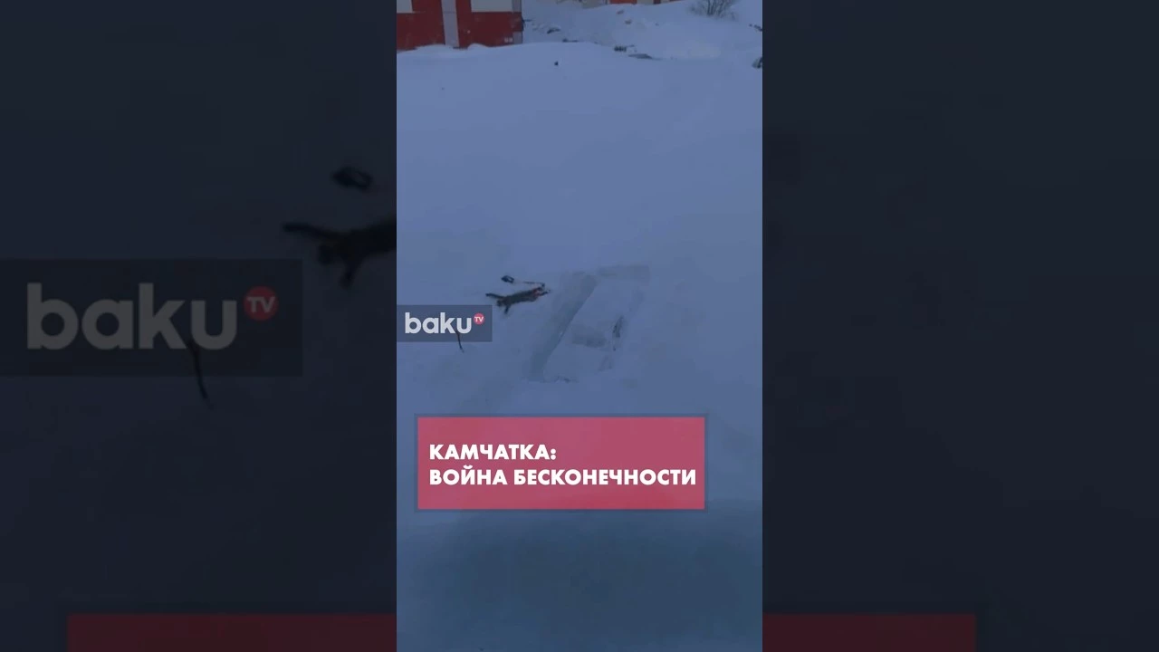 Жители Петропавловска-Камчатского откапывают автомобили из-под сугробов после циклона