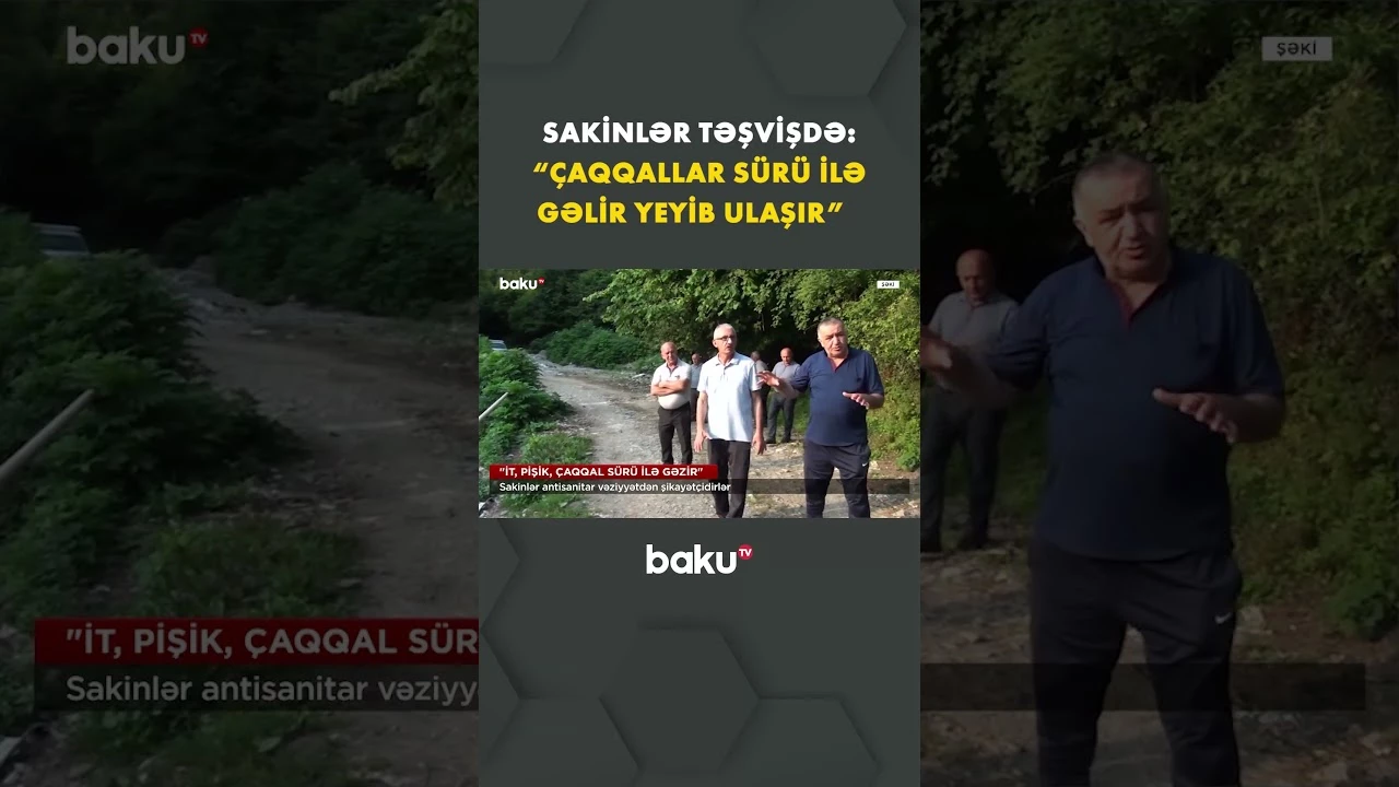 Şəkidə acınacaqlı durum - Baku TV