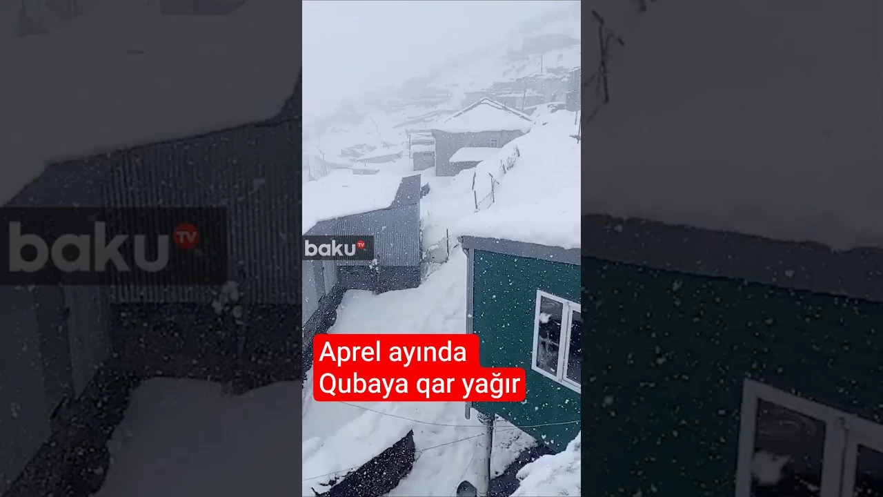 Qubanın Xınalıq kəndinə qar yağır - Baku TV