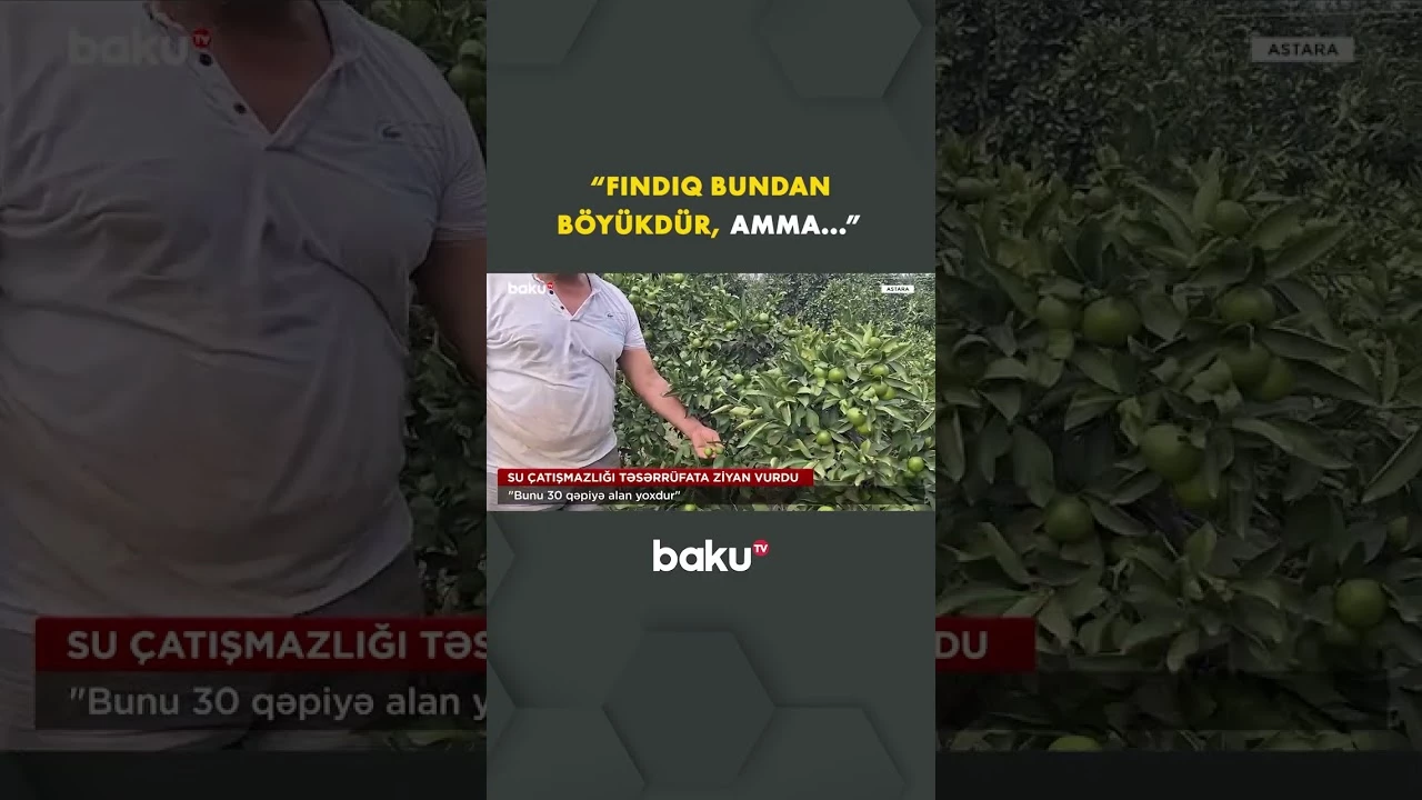 Susuzluq kənd təsərrüfatını iflic edir? - Baku TV