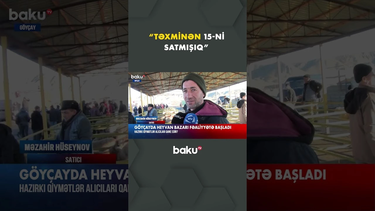 Göyçay sakinləri üçün heyvan bazarı yenidən işə düşdü - Baku TV
