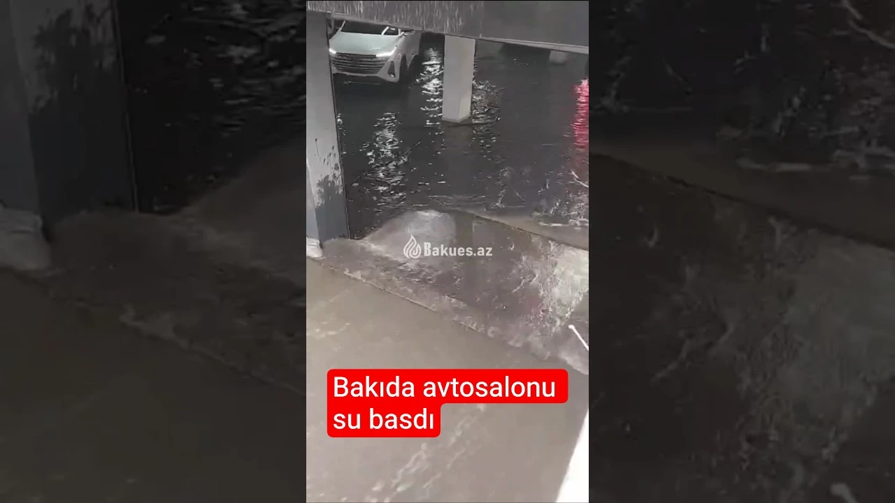 Bakıda avtosalonun qarajına su dolub - Baku TV