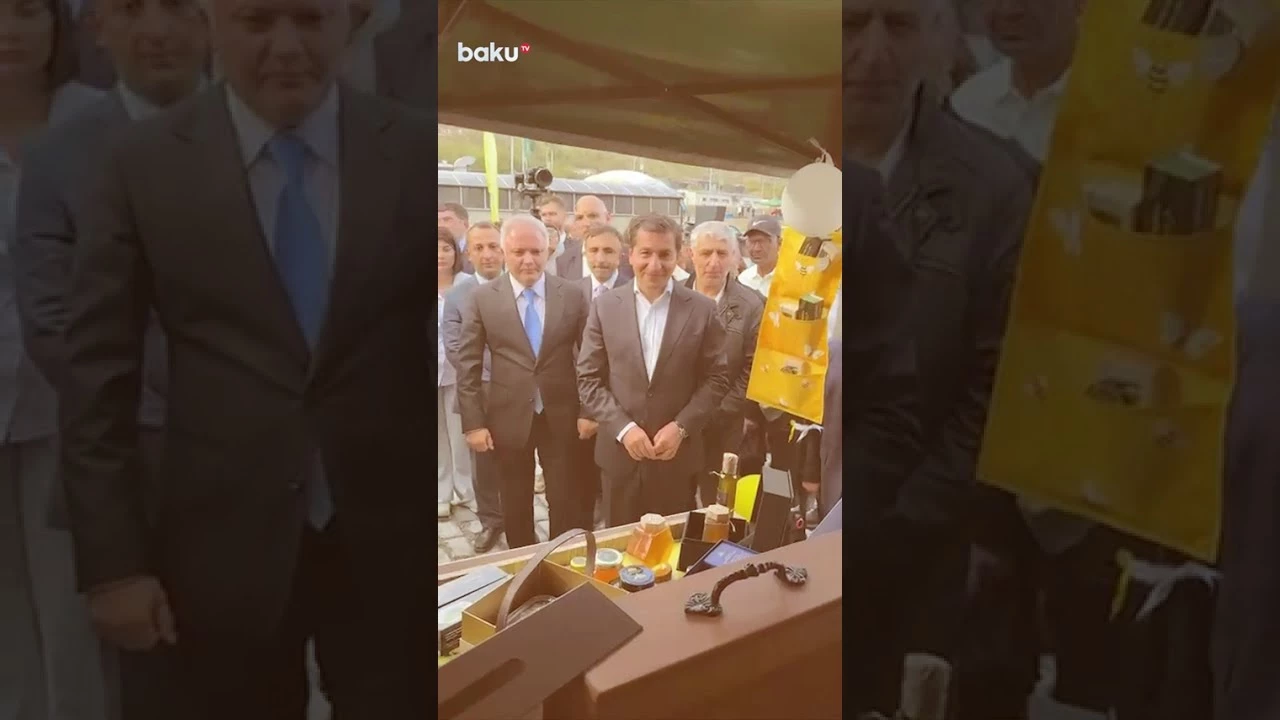 Diplomatik korpusun nümayəndələri Kəlbəcərdə II Bal Festivalında olublar - Baku TV