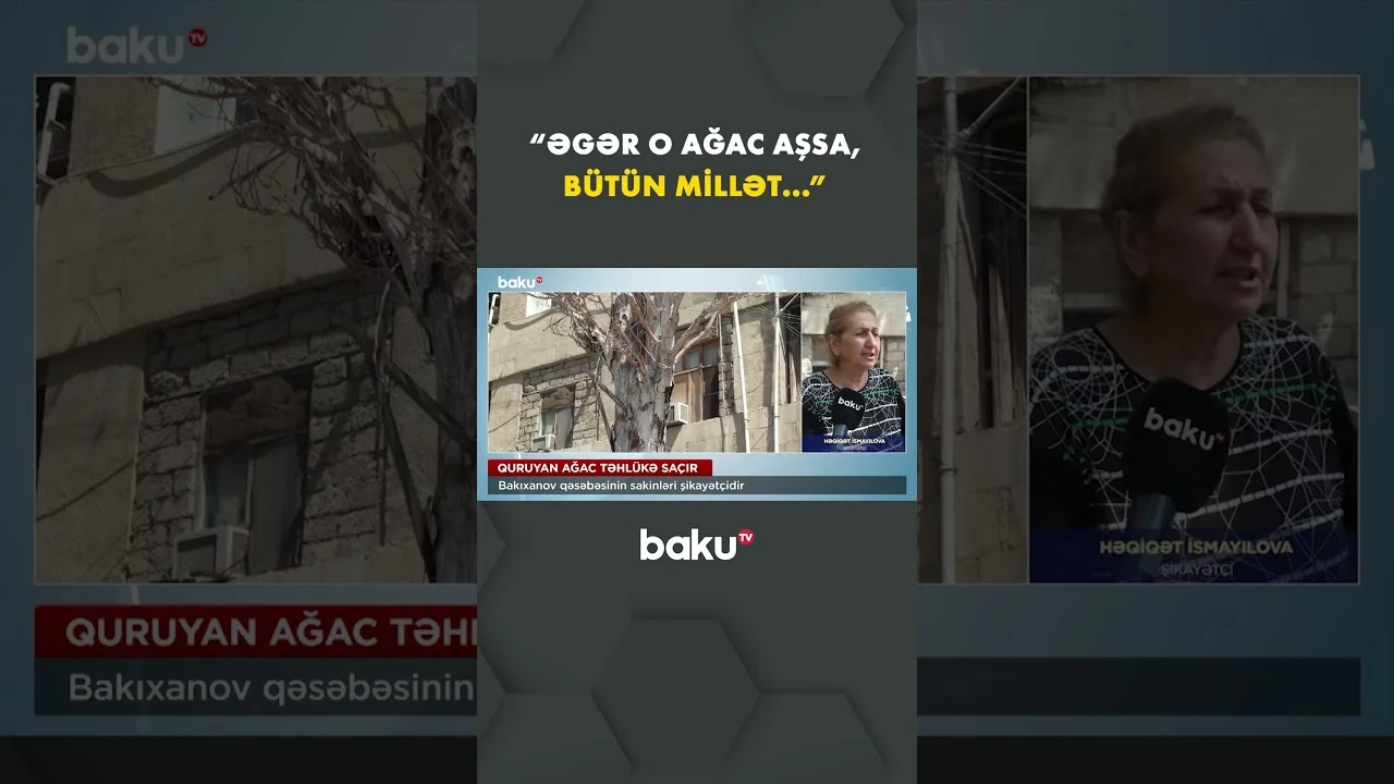 Quruyan ağac Bakıxanov sakinləri üçün təhlükə yaradır - Baku TV