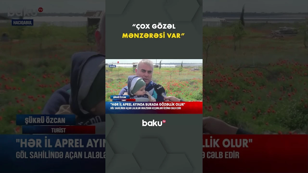 Türkiyə vətəndaşı Hacıqabuldakı lalələr olan ərazidən danışdı - Baku TV