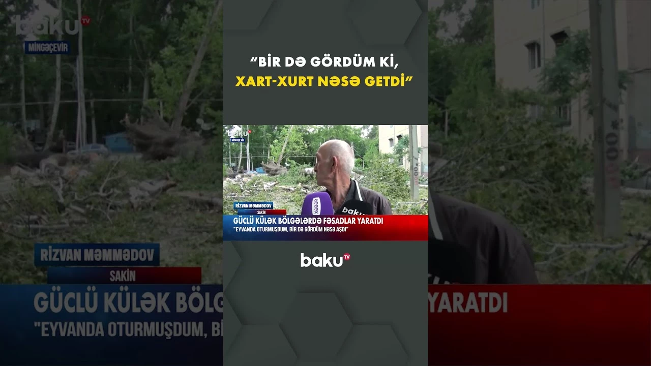 Güclü külək bir sıra bölgələrdə fəsadlar törədib - Baku TV