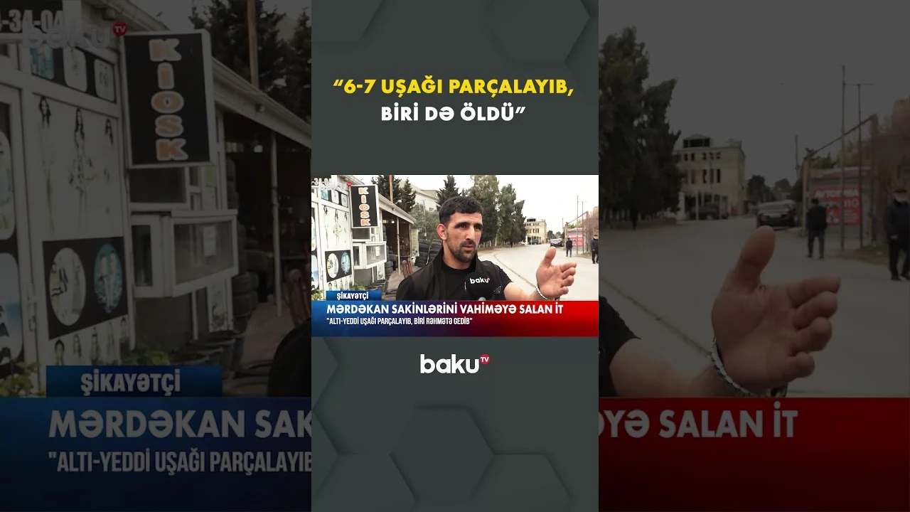 Mərdəkan sakinləri qorxu içində - Baku TV