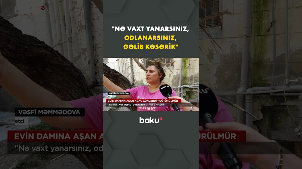 Qurumlar məsələyə niyə ciddi yanaşmır? - Baku TV