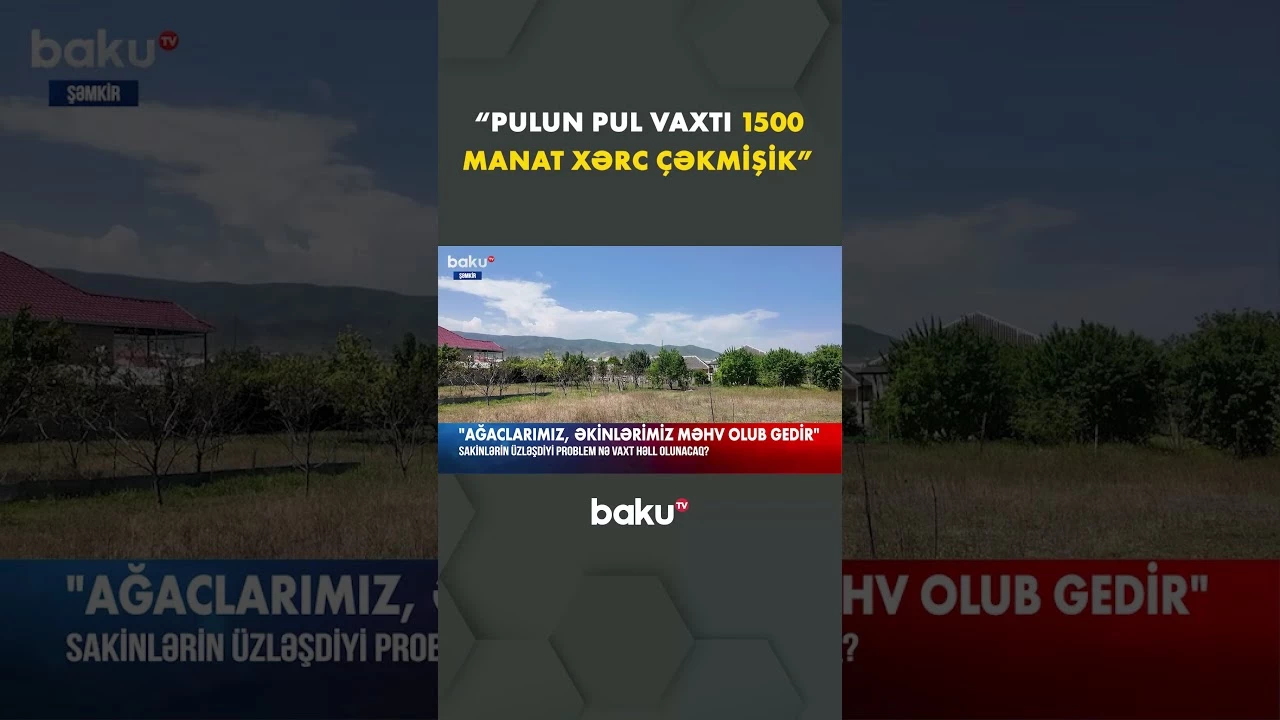 Şəmkirdə həllini gözləyən problem - Baku TV