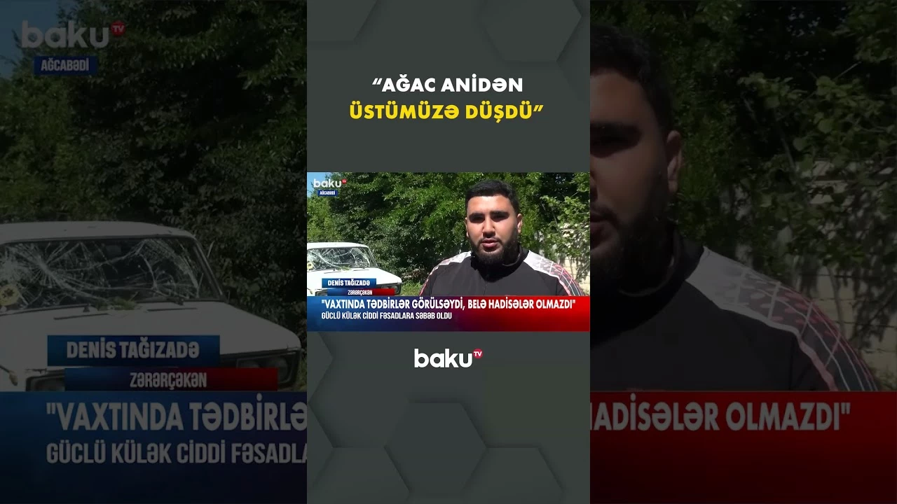 Ağcabədidə güclü külək ağacları aşırdı, evlərə zərər dəydi - Baku TV