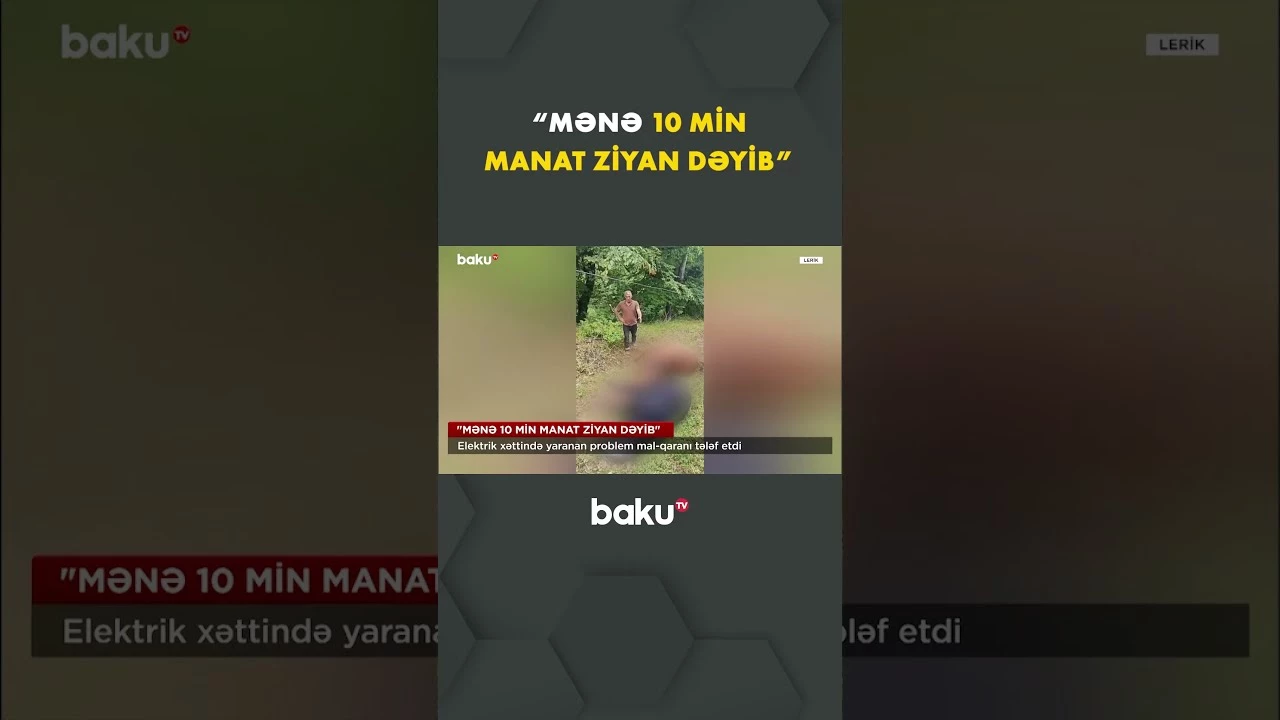 Leriklilər dərdini Baku TV-yə danışdı - Baku TV