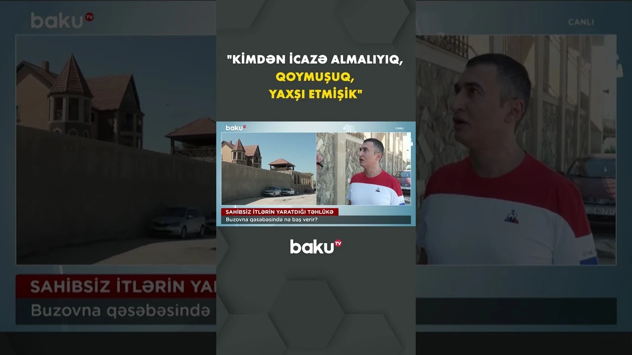 "Heç bir kənddə bu qədər it yoxdur" | Buzovna sakinləri ayağa qalxdı - Baku TV