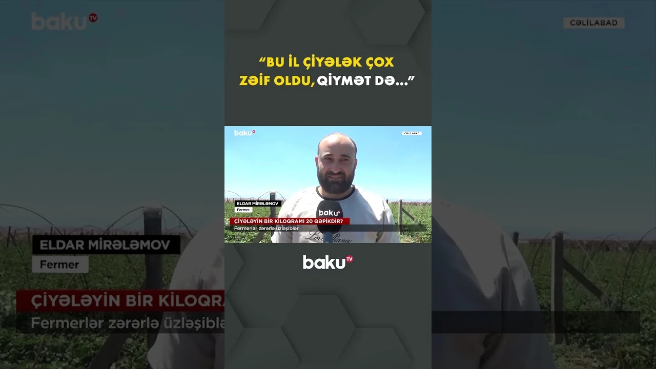 Cəlilabadlılar dərdini Baku TV-yə danışdı - Baku TV