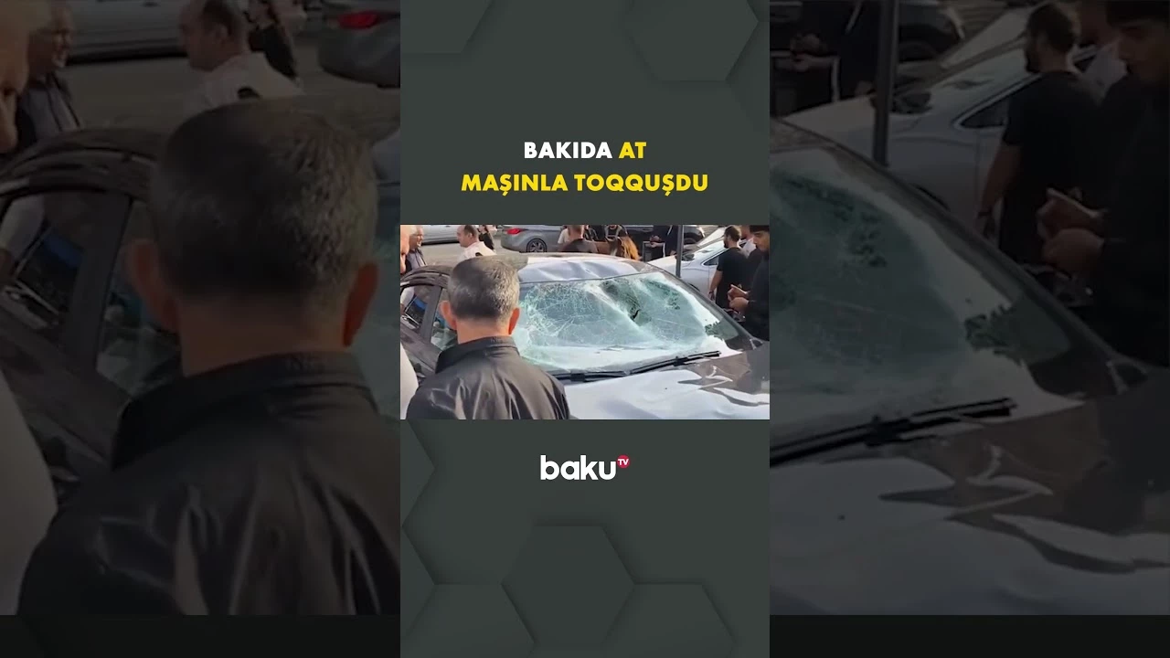 Bakıda at maşınla toqquşdu | Hadisə yerindən görüntülər - Baku TV