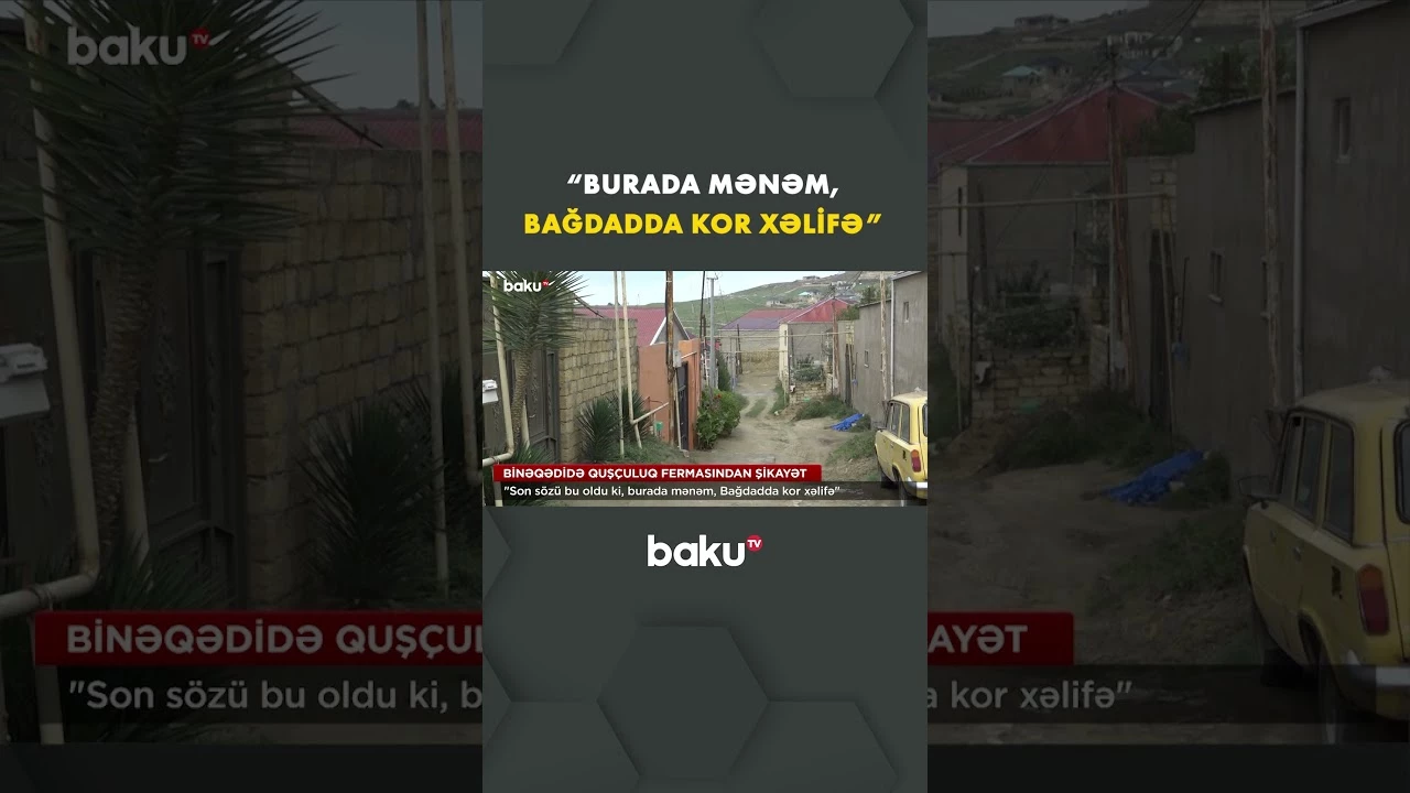 Binəqədidəki quşçuluq ferması ilə bağlı sakinlər nə deyir? - Baku TV