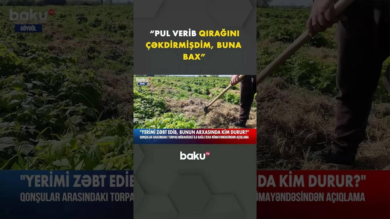 Qonşular arasındakı qalmaqala qurum rəsmisindən açıqlama - Baku TV