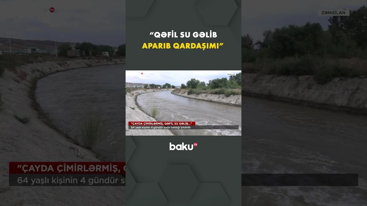 Zəngilanda 64 yaşlı kişinin taleyi naməlumdur - Baku TV
