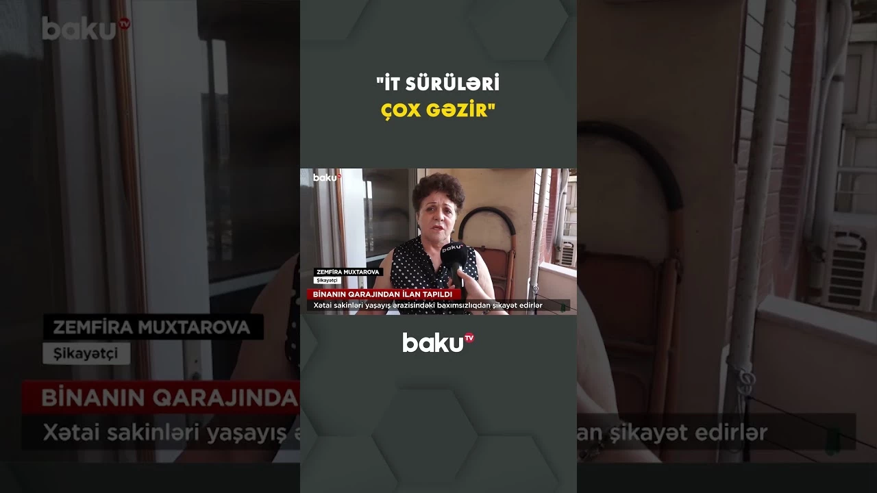 Sahibsiz itlər ərazini zəbt edib: Sakinlər çölə çıxmağa qorxur - Baku TV