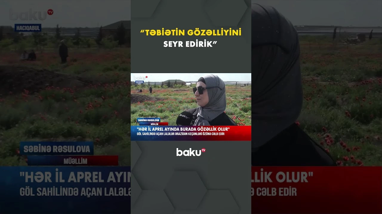 “Ailəvi mənzərələri seyr etməyə gəlmişik” - Baku TV