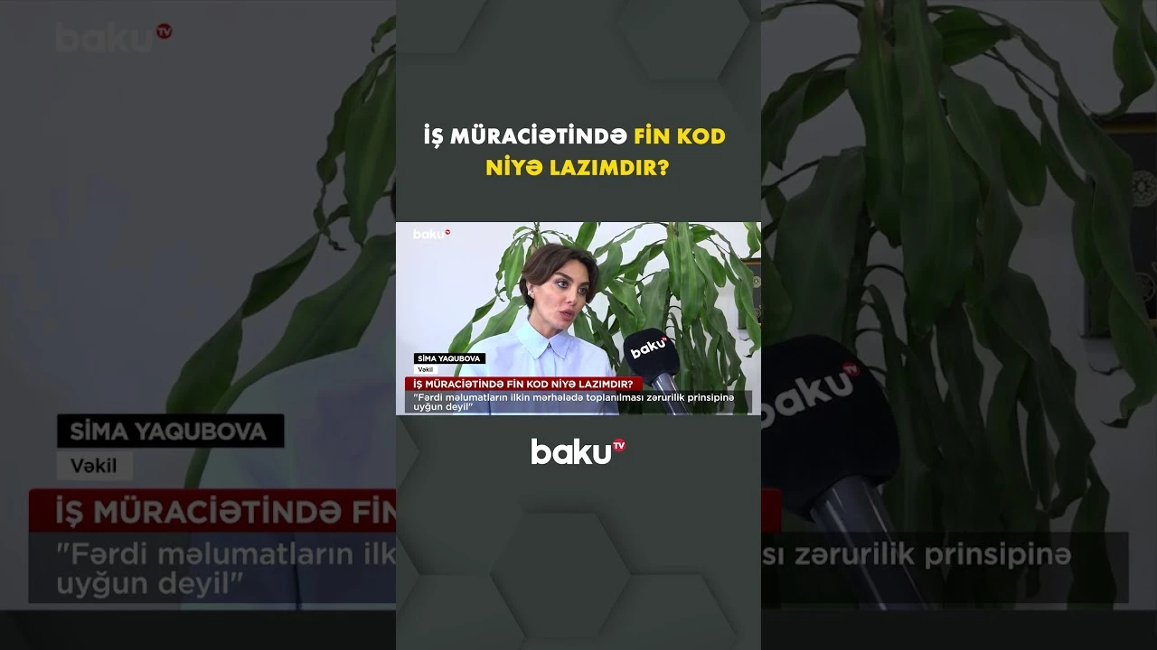 FİN kod olmadan iş müraciəti mümkündürmü? - Baku TV