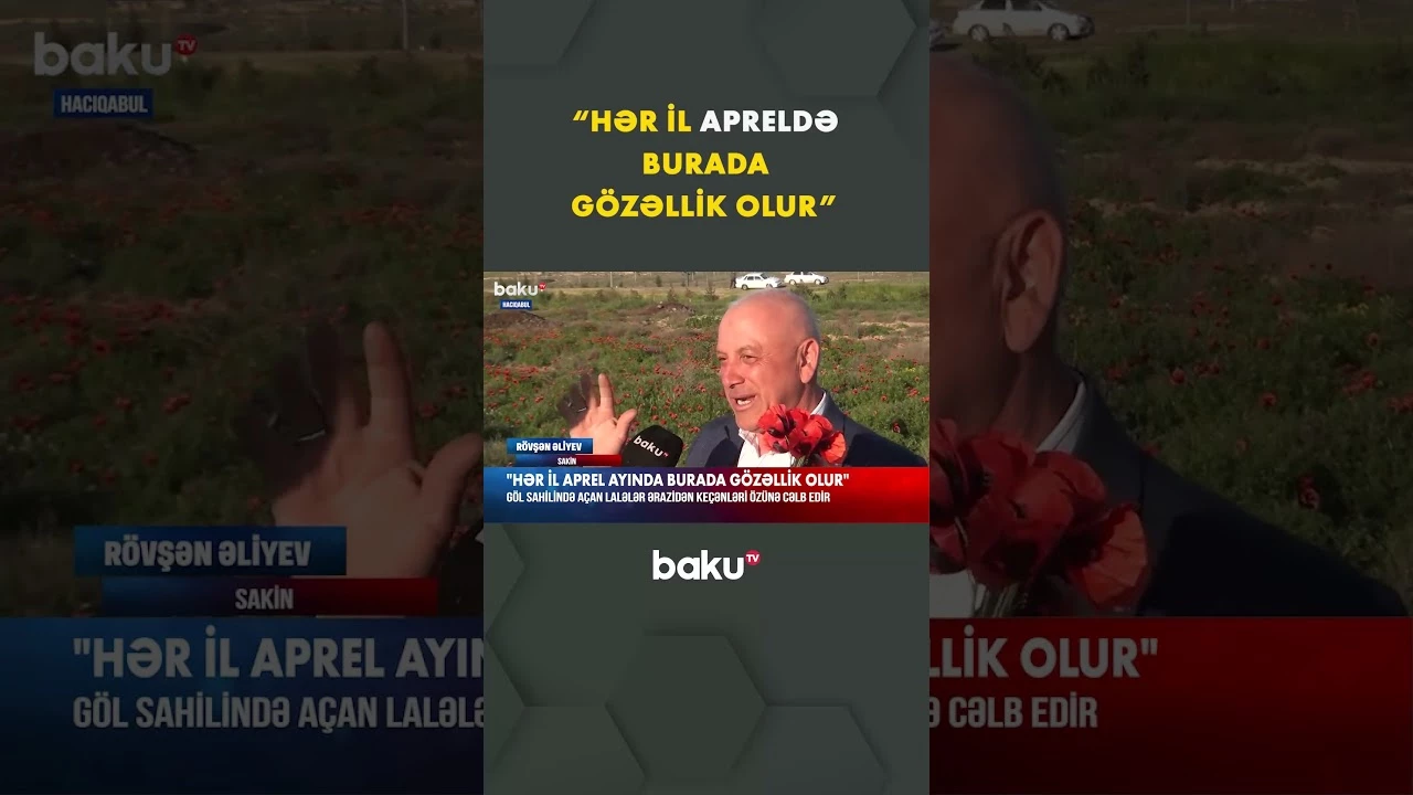 Hər kəsi özünə cəlb edən lalə sahəsi - Baku TV