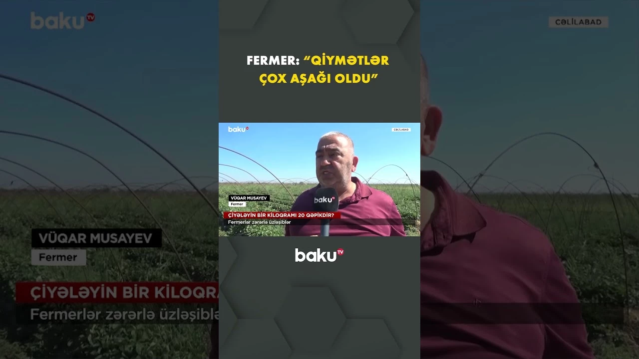 Fermerlər çıxılmaz duruma düşdü - Baku TV