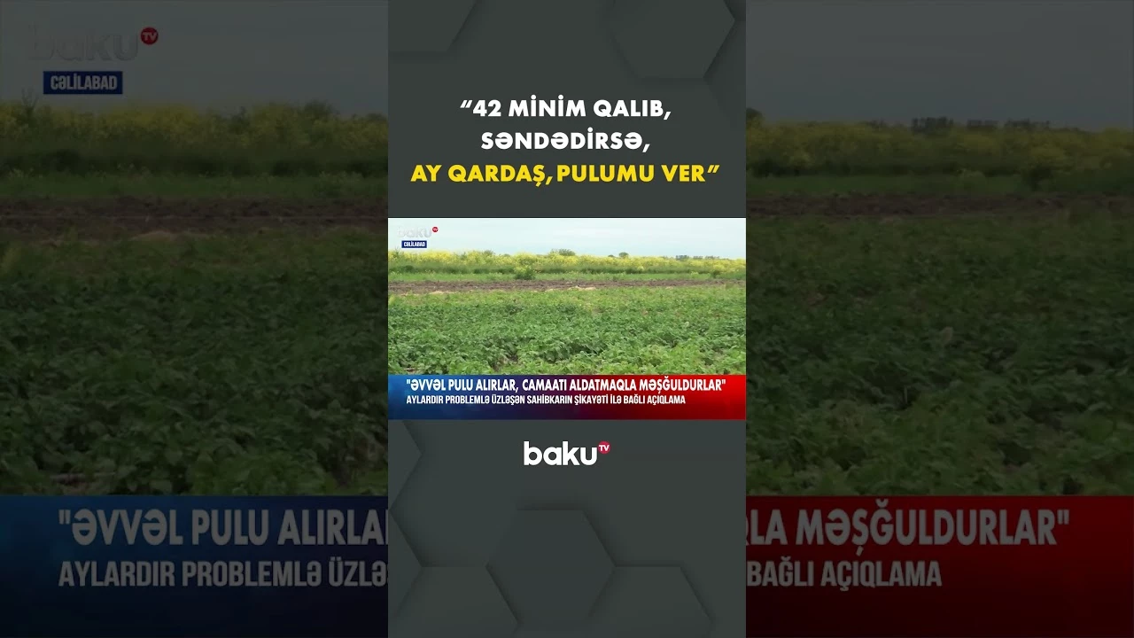 Cəlilabadlı sahibkarın başına oyun açdılar - Baku TV