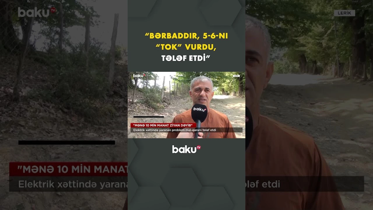 Lerikdə mal-qara sahibləri çıxılmaz durumda - Baku TV
