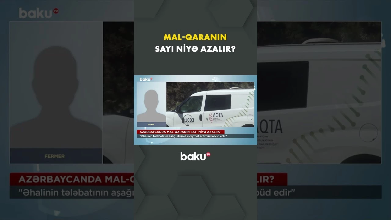 Ekspertlər xəbərdarlıq edir: Mal-qaranın azalması bazarda... - Baku TV