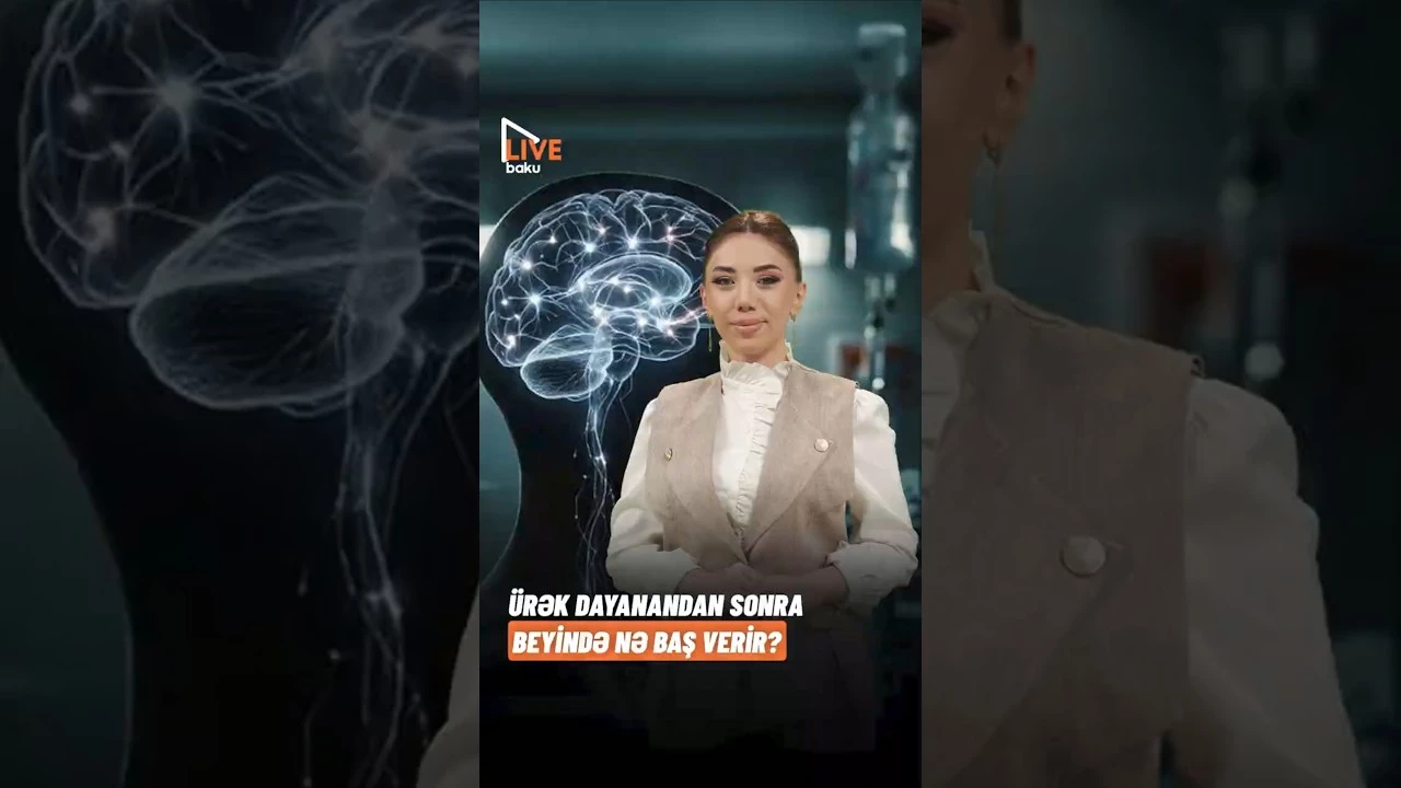Ürək dayanandan sonra beyində nə baş verir? - Baku TV