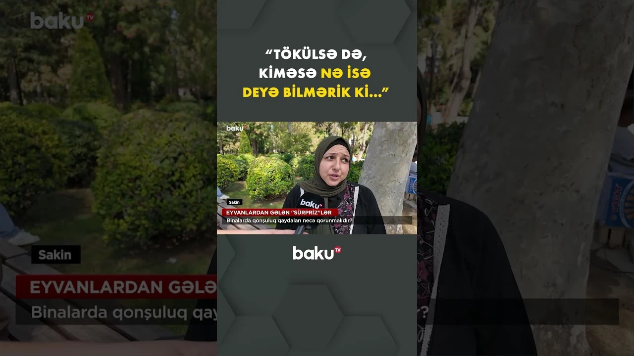 Sakinləri bezdirən eyvan vərdişlərinə kim nəzarət etməlidir? - Baku TV