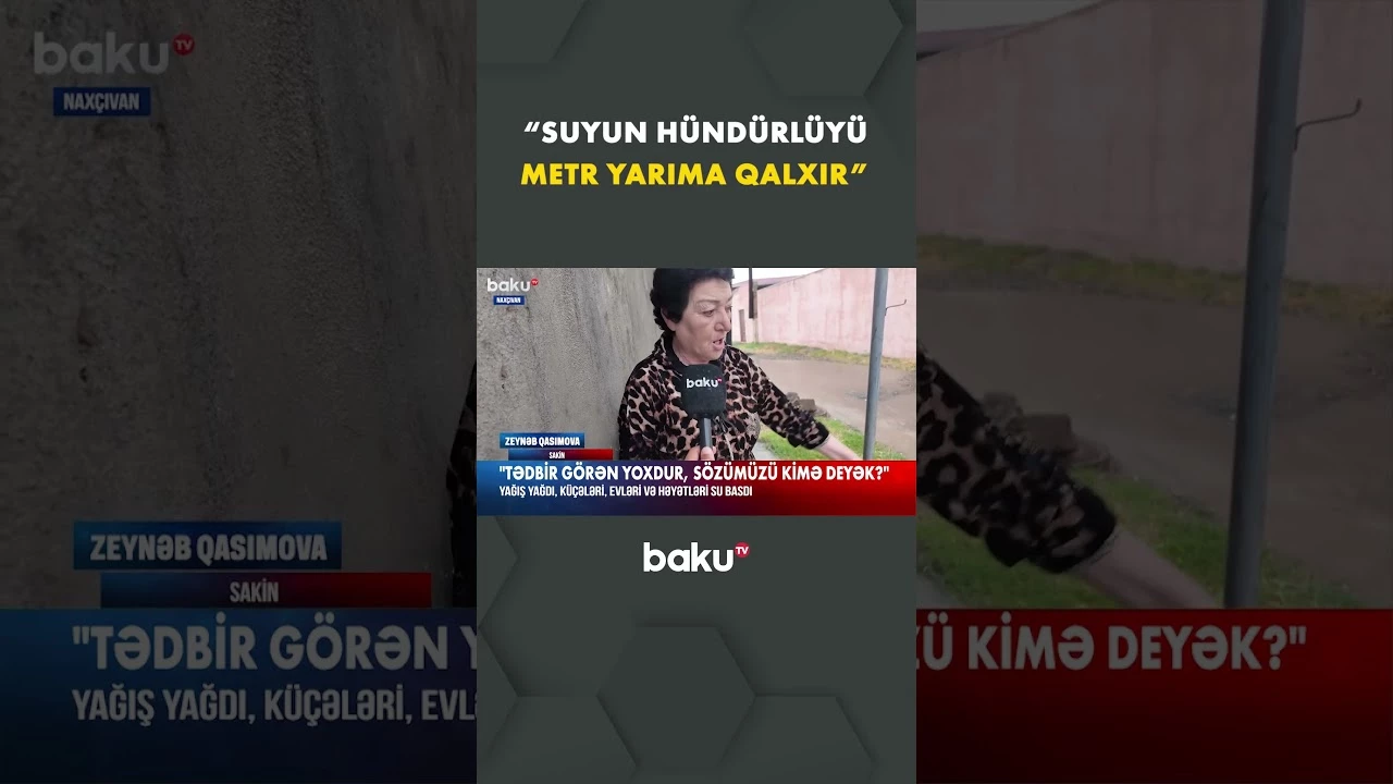"O orqan qalmayıb ki, müraciət etməyək" - Baku TV