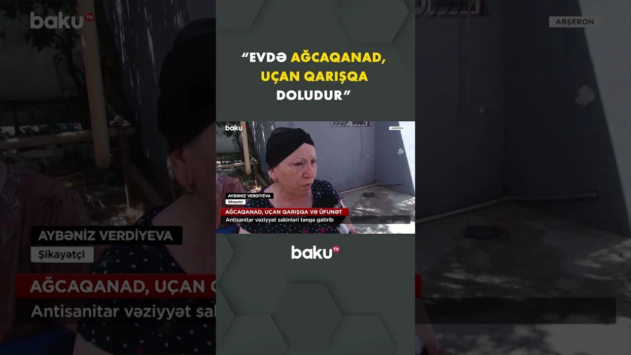 Üfunət və həşərat Abşeronda həyatı iflic edib - Baku TV